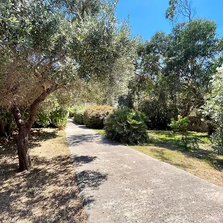 Maison De Maitre Au Charme D'antan * Bonifacio (Corsica)