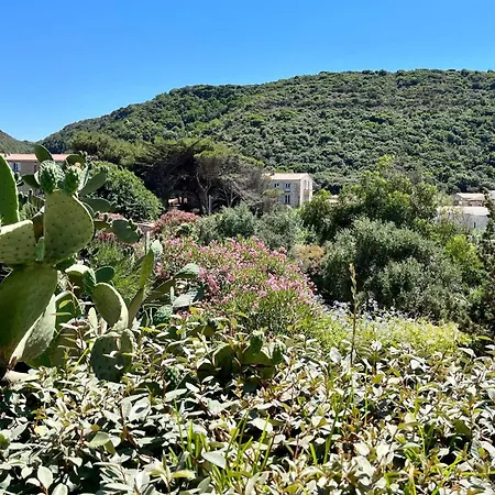 Casa de Férias Maison De Maitre Au Charme D'antan Bonifacio (Corsica)