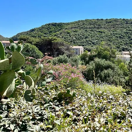 Maison De Maitre Au Charme D'antan ボニファシオ
