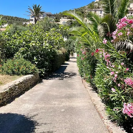 Maison De Maitre Au Charme D'antan ボニファシオ