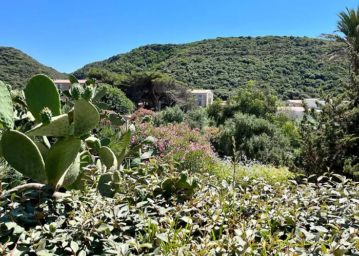 Vakantiehuis Maison De Maitre Au Charme D'antan Bonifacio (Corsica)