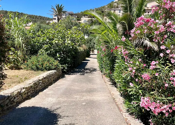 Maison De Maitre Au Charme D'antan Vakantiehuis Bonifacio (Corsica)
